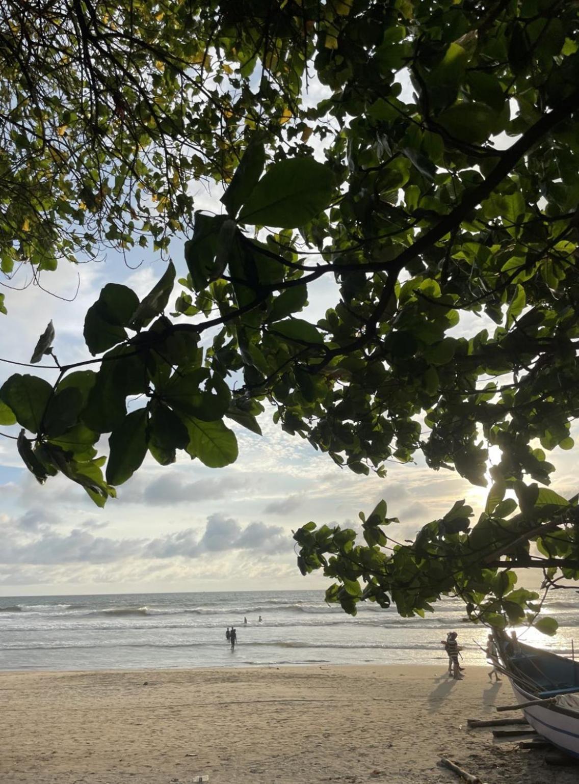 12 Monks - Beachside Hostel Arambol Exterior foto